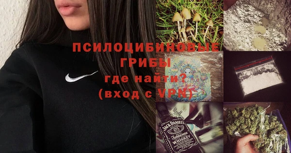 твердый Медногорск