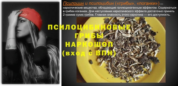 твердый Медногорск