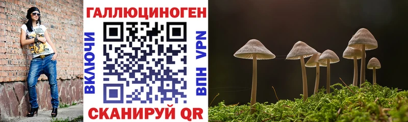 hydra онион  Михайловка  нарко площадка клад  Псилоцибиновые грибы Psilocybe 