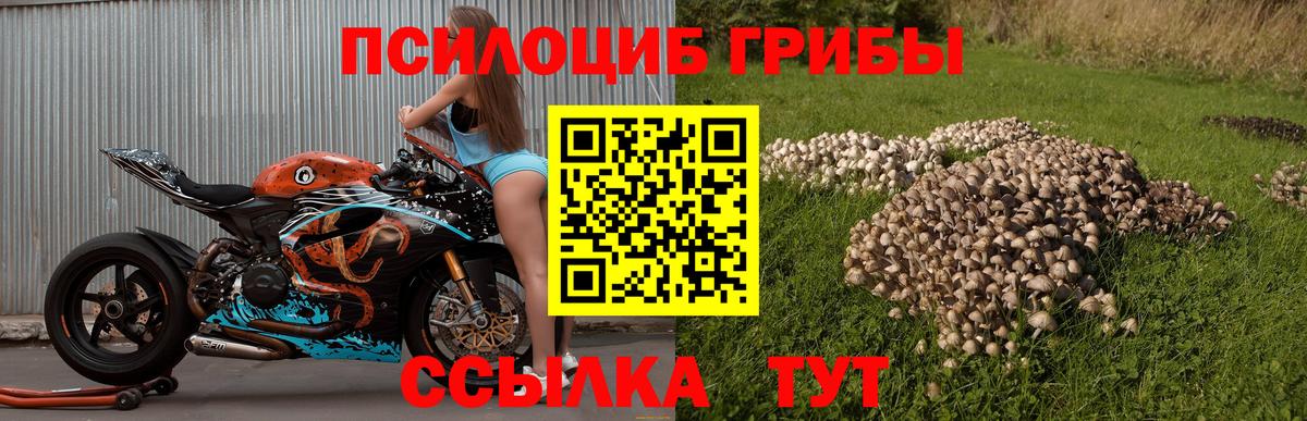 Псилоцибиновые грибы мухоморы Михайловка