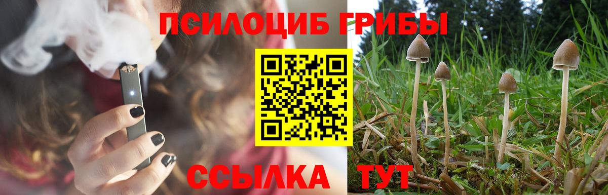 Михайловка  Псилоцибиновые грибы прущие грибы  купить наркотик  Вход с VPN 
